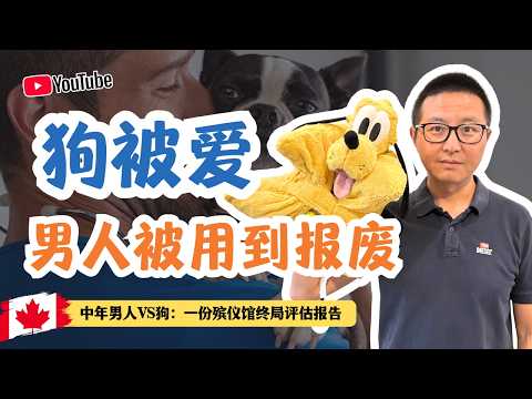 狗被愛,男人被用到報廢